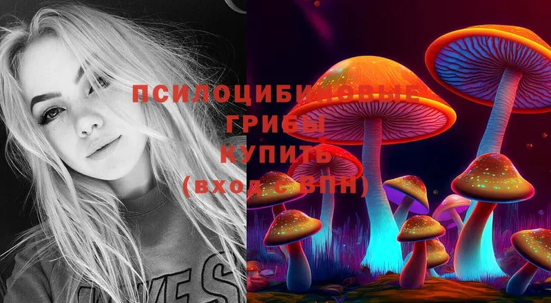 купить закладку  Рассказово  Галлюциногенные грибы Psilocybine cubensis 